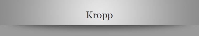 Kropp